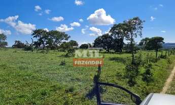 Imagem 8: Fazenda 414 alqueires (2.007 hectares) Caiapônia - Go