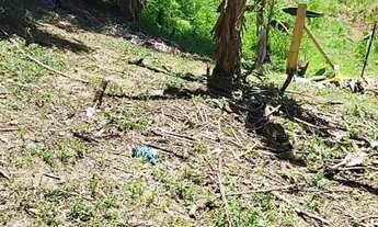 Imagem 2: Oportunidade Rara no Sana Terreno com 4.500 m² em Localização Privilegiada