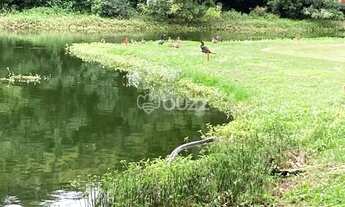 Imagem 4: Muito bom terreno no Costão Golf