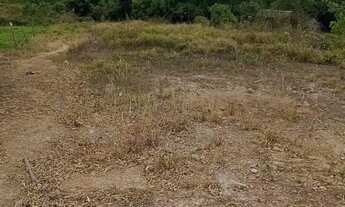 Imagem 5: Excelente terreno(chácara 13mil mts?