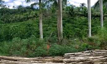 Imagem 4: Sítio em Boa Conserva próximo a Burarama