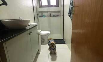 Imagem 6: Casa com 03 quartos (01 suíte), 02 vagas, no Bairro Vila Conceição