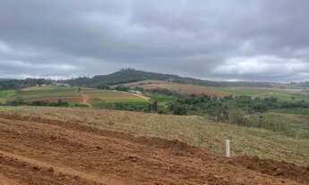 Imagem 5: 85C- VENHA PARA COTIA - LOTES ESPECIAIS