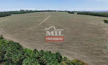 Imagem: Fazenda 38 alqueires (183,92 hectares) Morrinhos