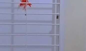 Imagem 6: Apartamento na Iputinga para alugar