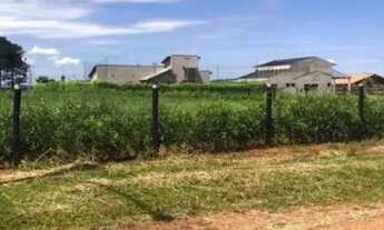 Imagem 4: Terra Santa Monte Sinai , Ágio oportunidade