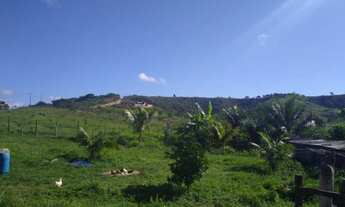 Imagem 2: Terreno na fazenda curimã em Itaporanga