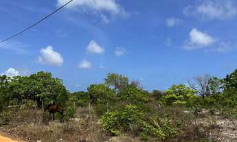 Imagem 2: Vendo Lote na Caponga