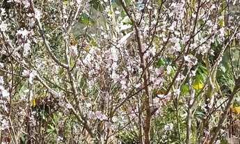 Imagem 4: Chácara à venda, LAGEADINHO, Ibiúna, SP