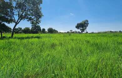 Imagem 4: FAZENDA À VENDA BEIRA DO RIO CUIABÁ