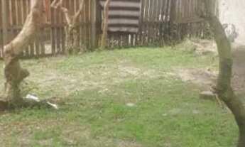 Imagem 5: Casa na praia Vento ou troco