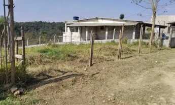 Imagem 3: Terreno de chácara