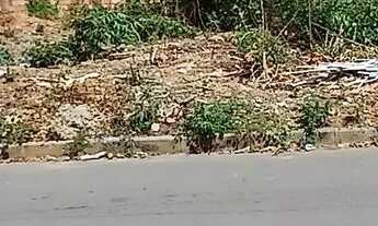 Imagem 3: Terreno 800 mts Jaraguá