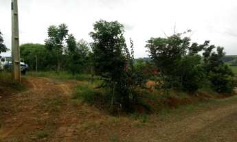 Imagem 3: Chacara em ibaiti