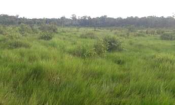 Imagem 2: Fazenda com 120 hectares no municipio de caroebe / RR, com 60 hectares de pasto