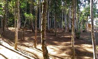 Imagem 7: Terreno à venda, Simão Pereira Simão Pereira MG