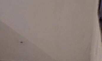 Imagem 4: SOBRADO - RIO GRANDE - SÃO BERNARDO DO CAMPO/SP