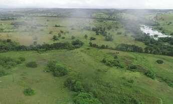 Imagem 6: Fazenda 150 hectares no Litoral Norte da Bahia! Com nascentes