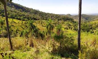 Imagem 6: Fazenda 84 alqueires em Palmeirópolis To