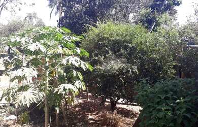 Imagem 12: Casa Residencial Village Garavelo Aparecida de Goiânia .Goiás