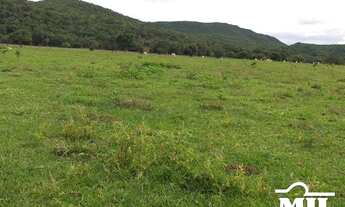 Imagem 6: Chácara 9 Alqueire (43,56 Há) Jandaia - GO