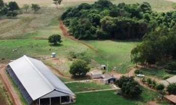 Imagem 4: Chácara 11 alqueires (53 hectares) em Palmeiras de Goiás-GO (lavoura + leite
