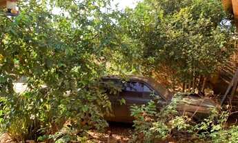 Imagem 3: Vendo Terreno Pq. dos Flamboyans