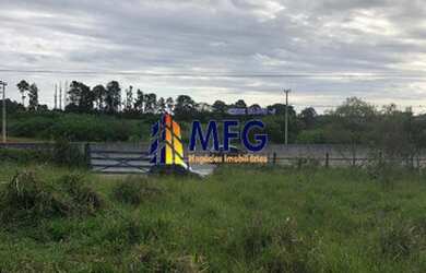 Imagem 4: Vendo Areá com 87.000m² -Itapetininga SP