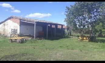 Imagem 3: Fazenda com 190 hectares no vale de monte alegre