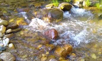 Imagem 7: Fazenda 153 Alqueires em Cavalcante TO