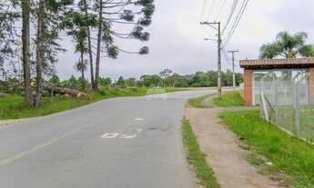 Imagem 3: Chácara no Bairro Inhaiva em São José dos Pinhais PR