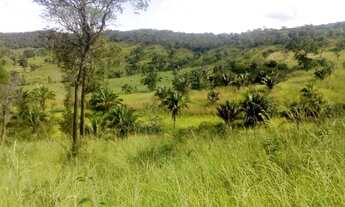 Imagem: 54 alqueires em Minaçu Goiás