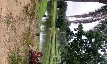 Imagem 6: Lindo Sítio no Morro grande