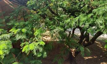 Imagem 4: Apartamento com 3 dormitórios à venda, 80 m² por R$ 230.000,00 - Havaí - Belo Horizonte/MG