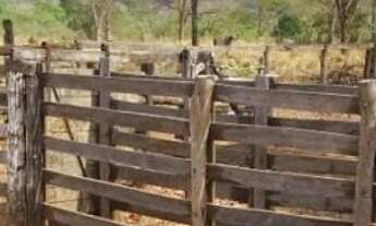 Imagem 5: 39,25 Alq (190 HÁ) - Guarani de Goiás - GO