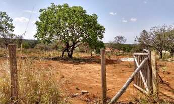 Imagem: São 2 mil metros no Silva Xavier