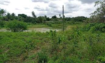 Imagem 6: Ótima Fazenda com 200 hectares na região de São Gonçalo do Amarante