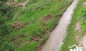 Imagem 4: Chácara 9 Alqueire (43,56 Há) Jandaia - GO