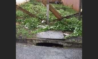 Imagem 2: Lote Jardim São Pedro_Marialva PR