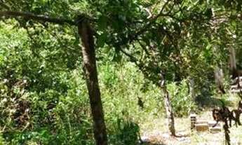 Imagem 2: Vendo ou troco Chácara no Litoral