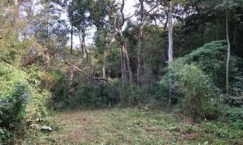 Imagem 4: Terreno Rural Imarui