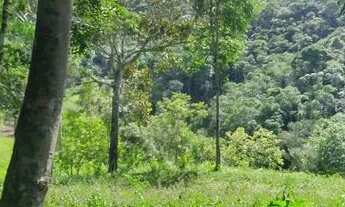 Imagem 2: Para criar 20 mil mts rico em água pastos