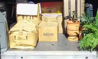 Imagem 3: Mudanças, fretes, entregas e coletas em geral