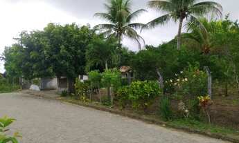 Imagem 6: Sítio, Chácara no Povoado Pastor, Boquim-SE com 9570 m2 de extensão, 3 tarefas