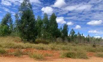 Imagem 7: Chácara 20.000m², toda área terra de cultivo, excelente topografia, agua, Jaboticatubas