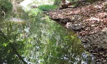 Imagem 5: Chácara em professor jamil