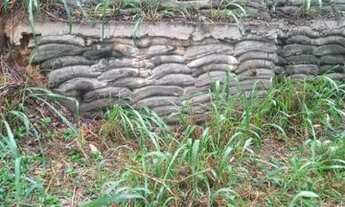 Imagem 6: Vendo Mini Sítio em 5 Lagos mendes