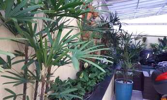 Imagem 4: Casa em condominio moderna , sustentável com 240m² de área construida na Vila São Francis