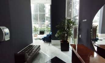 Imagem 6: Alto padrão para venda ou locação c/ 249m² úteis,vista para o parque da Aclimação, rico em