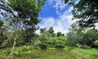 Imagem 4: CASA com poço artesiano, frutíferas e tanque de peixe